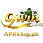 9win Game Official Logo