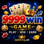 9999win