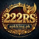 222RS Game