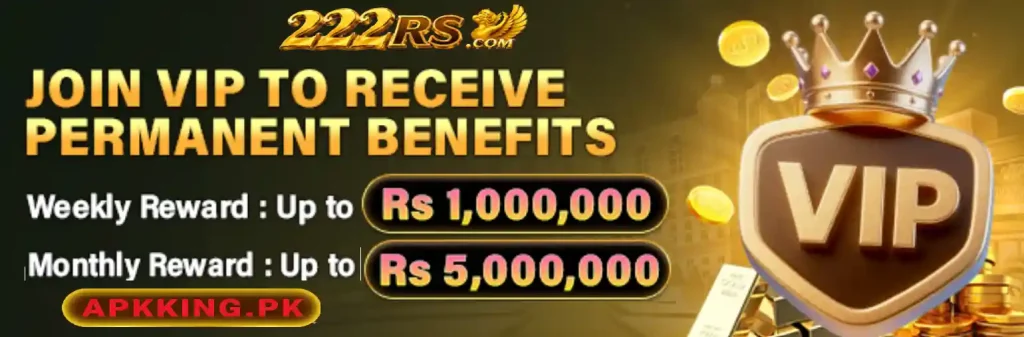 222RS Game
