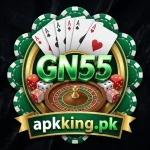 GN55 Game