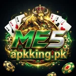 ME5 Game