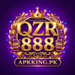 QZR888 Game Android review and usability guide