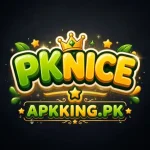 PK NICE Game interface displayed on an Android phone for Pakistani users