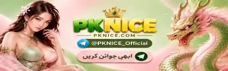Android phone showing compatibility considerations for the PK NICE APK